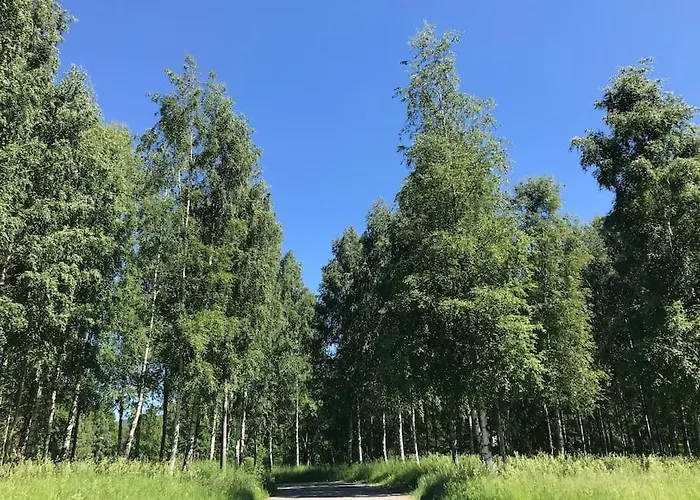 Stort sentrumshus med gangavstand til  alt