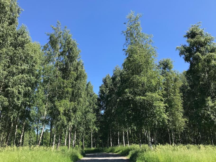 Stort Hus I Sentrum Med Gangavstand Til 