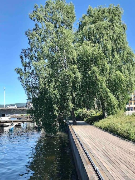 Stort Hus I Sentrum Med Gangavstand Til 